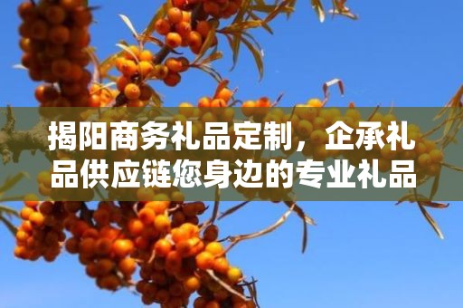 揭阳商务礼品定制，企承礼品供应链您身边的专业礼品定制公司