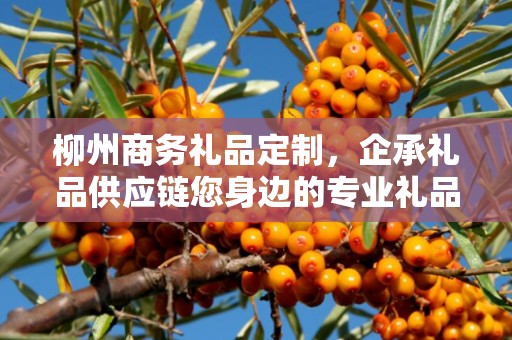 柳州商务礼品定制，企承礼品供应链您身边的专业礼品定制公司