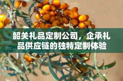 韶关礼品定制公司，企承礼品供应链的独特定制体验