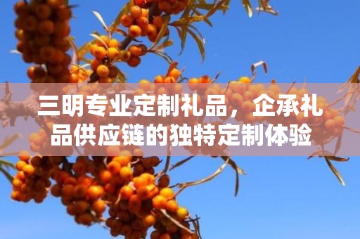 三明专业定制礼品，企承礼品供应链的独特定制体验