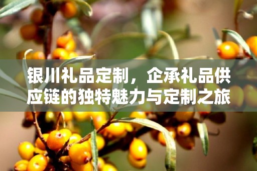 银川礼品定制，企承礼品供应链的独特魅力与定制之旅